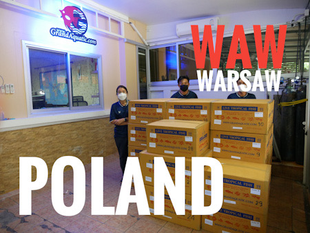 Freight rate for BKK to WAW Warsaw Poland