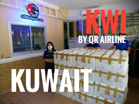 Freight rate for BKK to KWI Kuwait